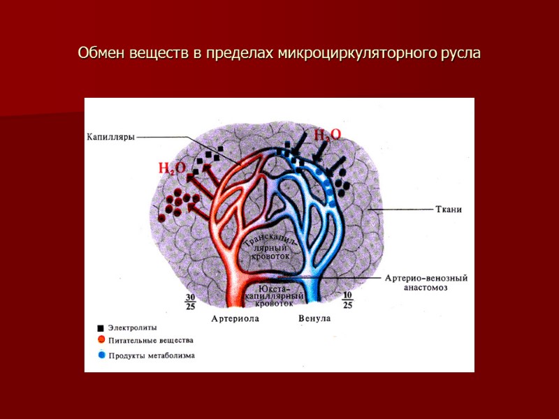 Обмен веществ в пределах микроциркуляторного русла